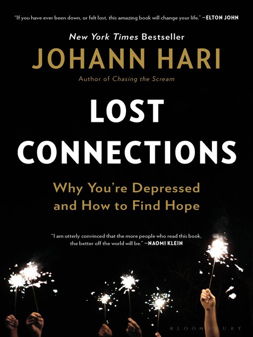 Cover image for Lost Connections
